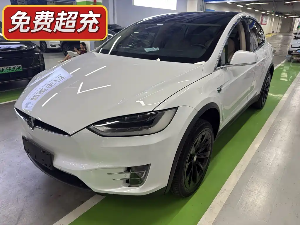 Tesla Model X 2017 — фото 1