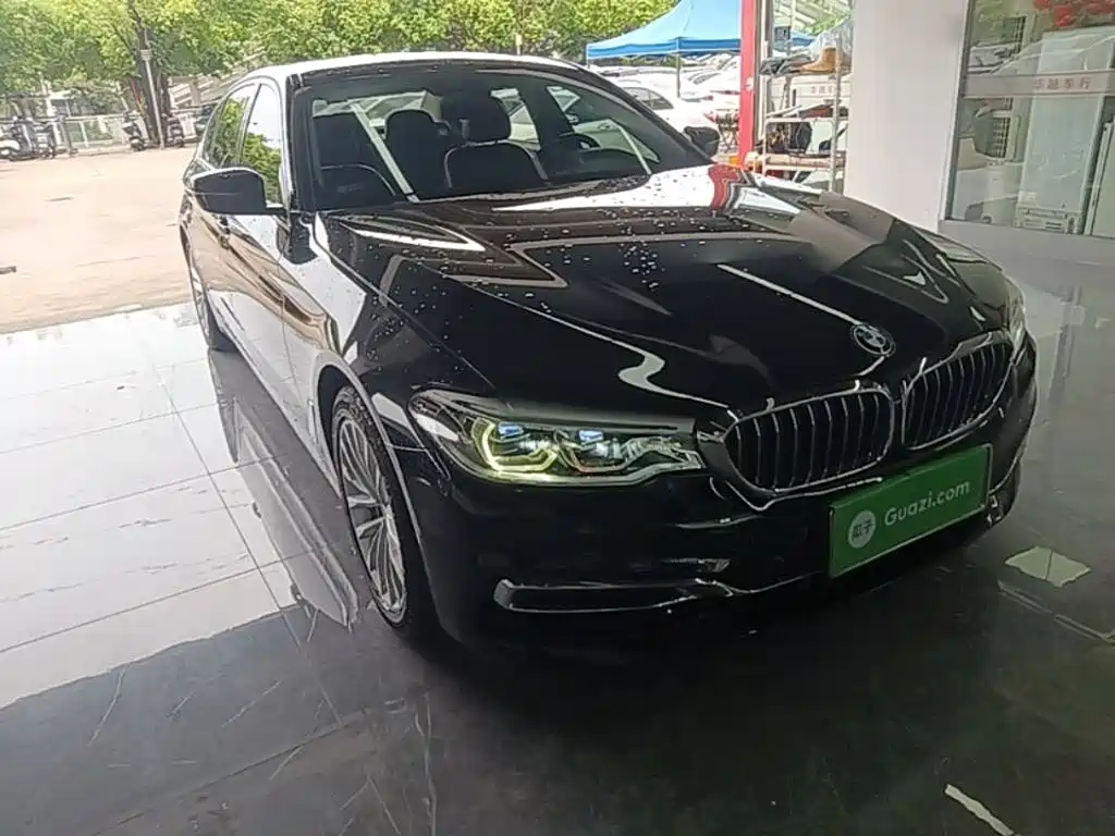 BMW 5 Series New Energy 2019