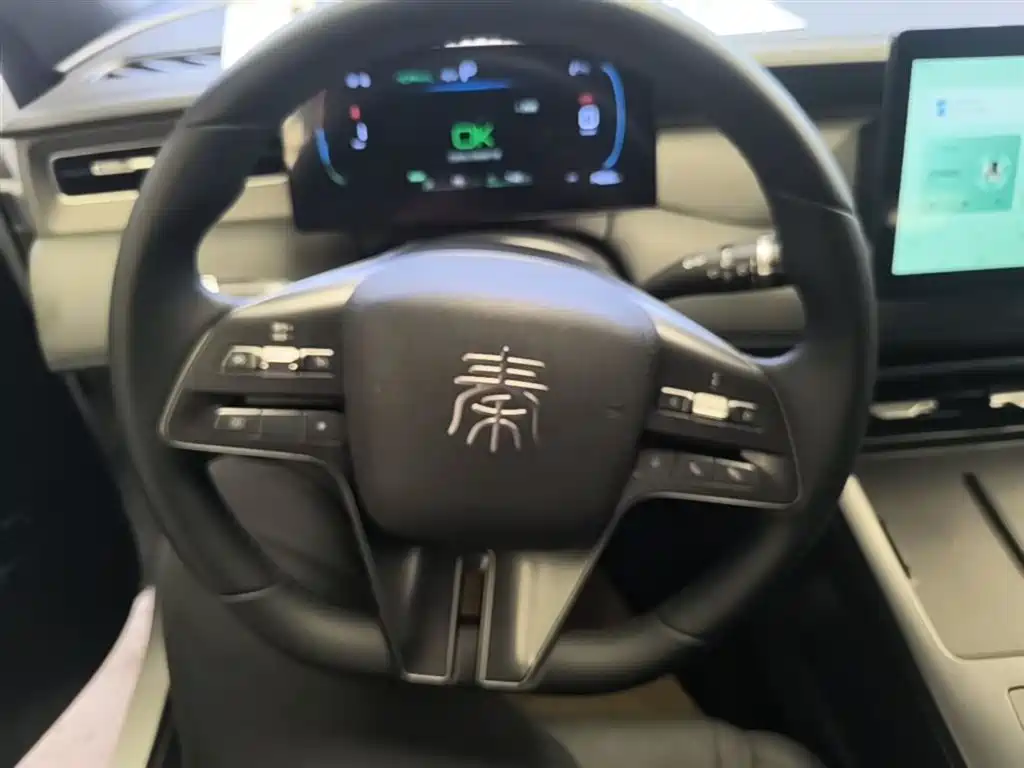 BYD Qin PLUS 2025 — фото 11