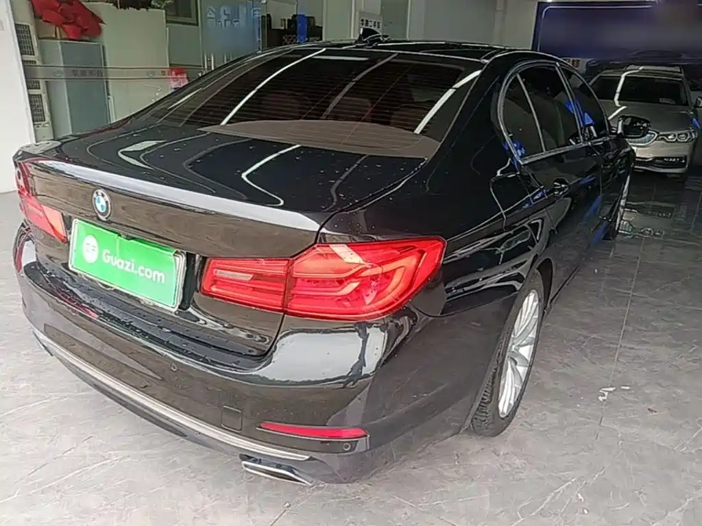 BMW 5 Series New Energy 2019
