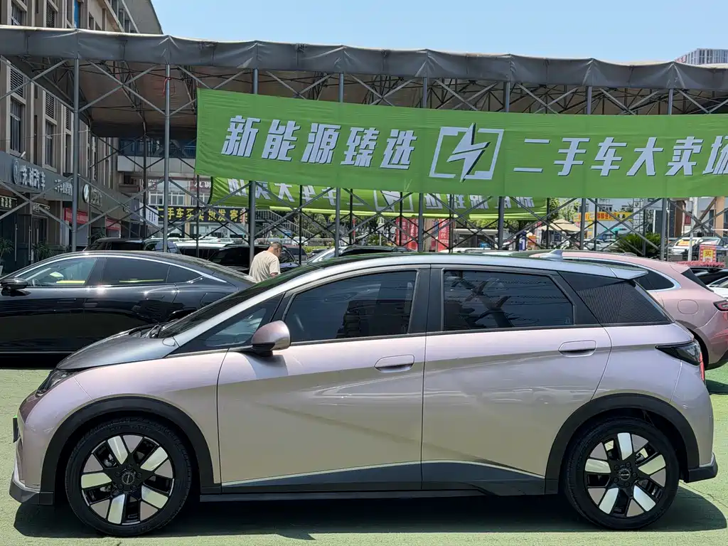 BYD Dolphin 2021