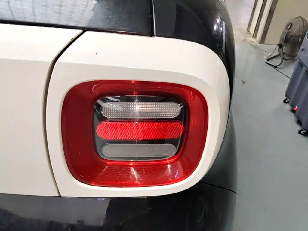 Ora Black Cat 2019 — фото 8