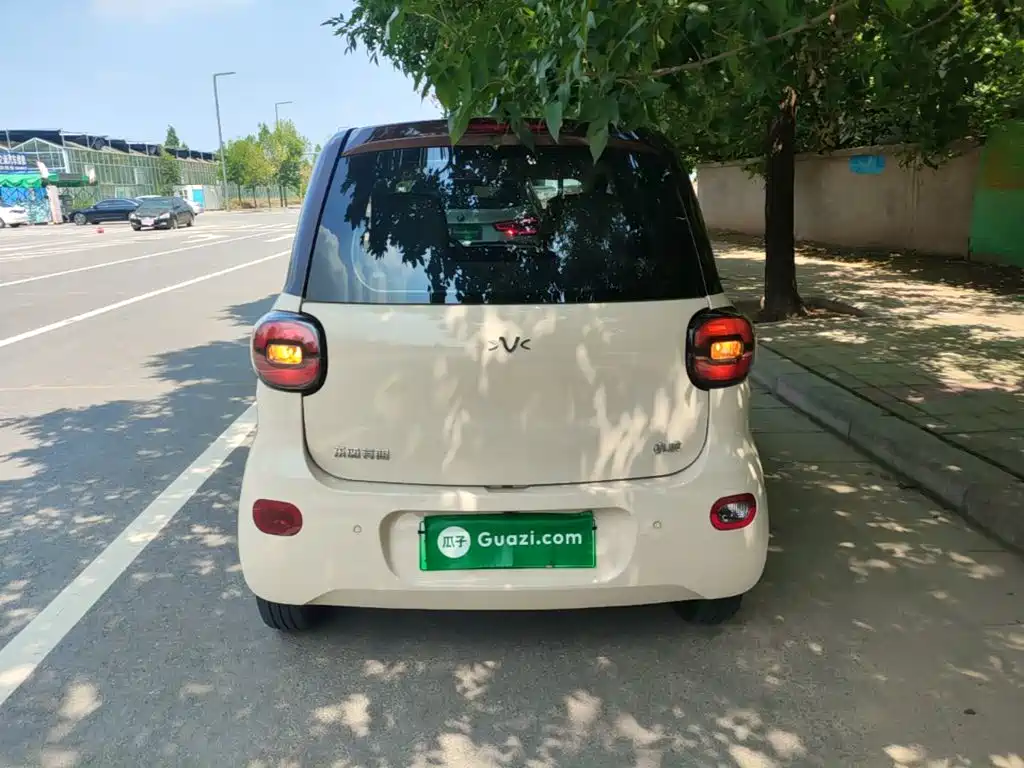 FERRAL EV 2022