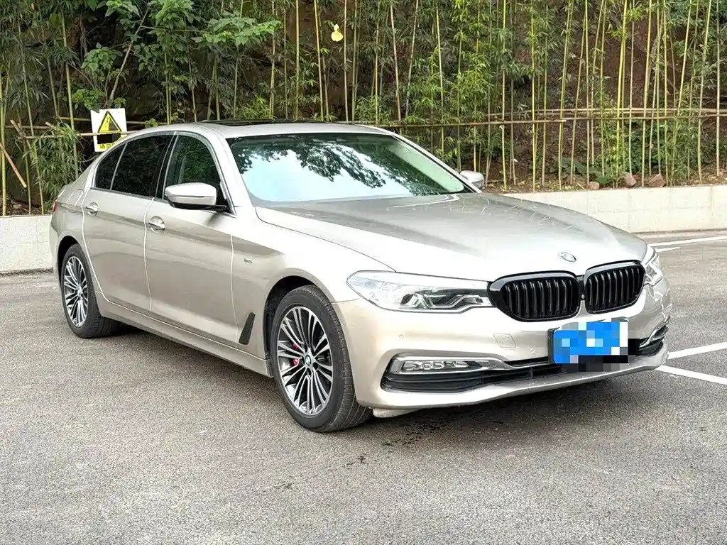 BMW 5 Series 2018