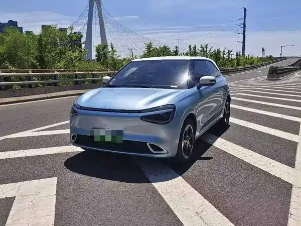 Dongfeng Nano 01 2024
