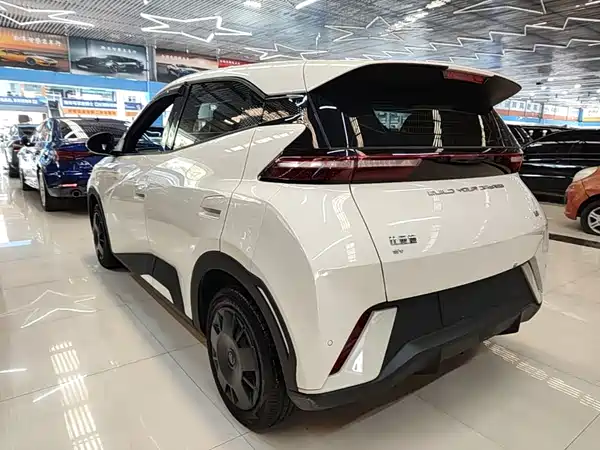 BYD Seagull 2024
