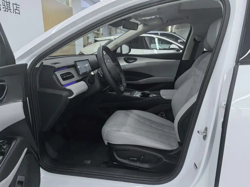 BYD Seal 06 DM-i Travel Edition 2025 — фото 17