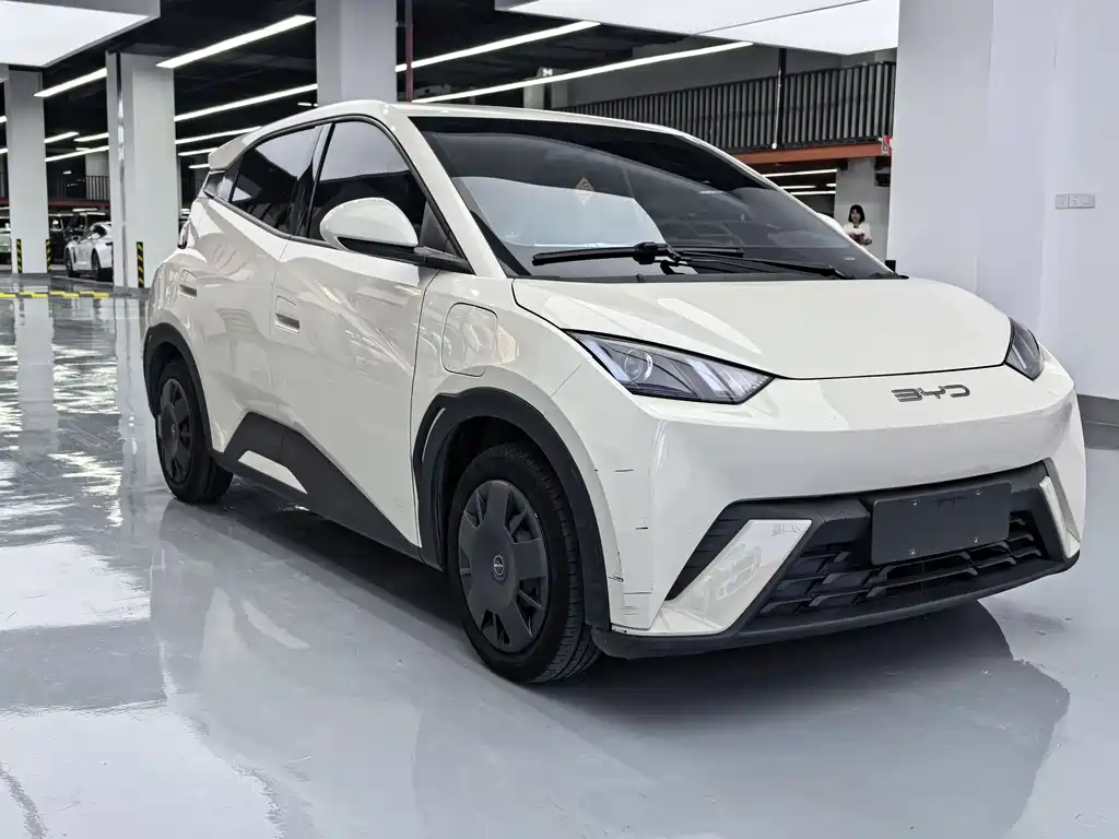 BYD Seagull 2024
