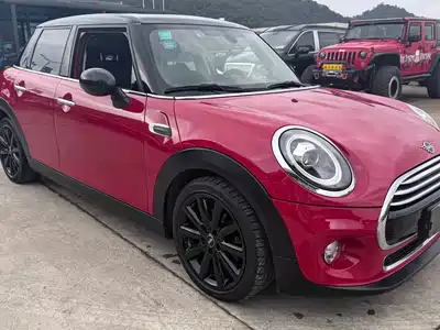 MINI MINI 2018