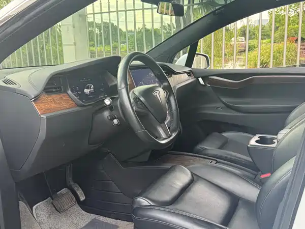 Tesla Model X 2020