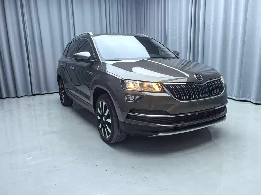 Skoda Karoq 2020 — фото 3