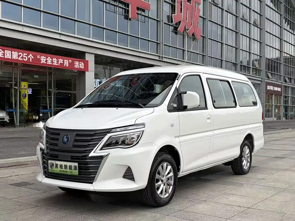Fengxing Lingzhi New Energy 2025