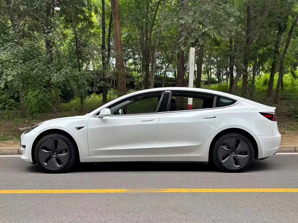 Tesla Model 3 2020 — фото 3