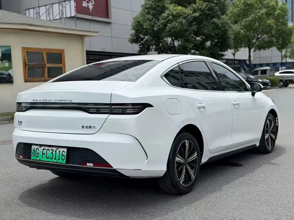BYD Destroyer 05 2022 — фото 15
