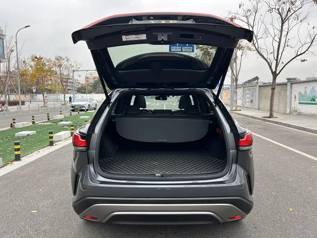Lexus RX New Energy 2023 — фото 17