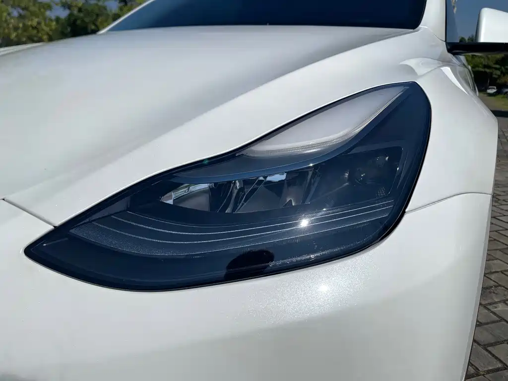 Tesla Model Y 2023 — фото 20
