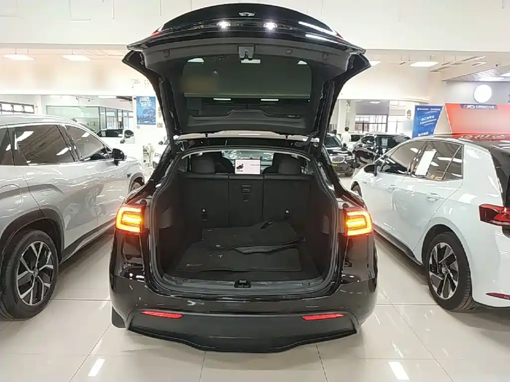 Tesla Model Y 2023 — фото 19