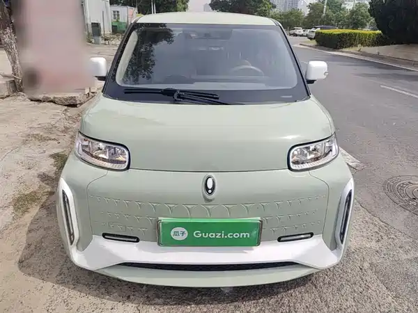 Ora White Cat 2022