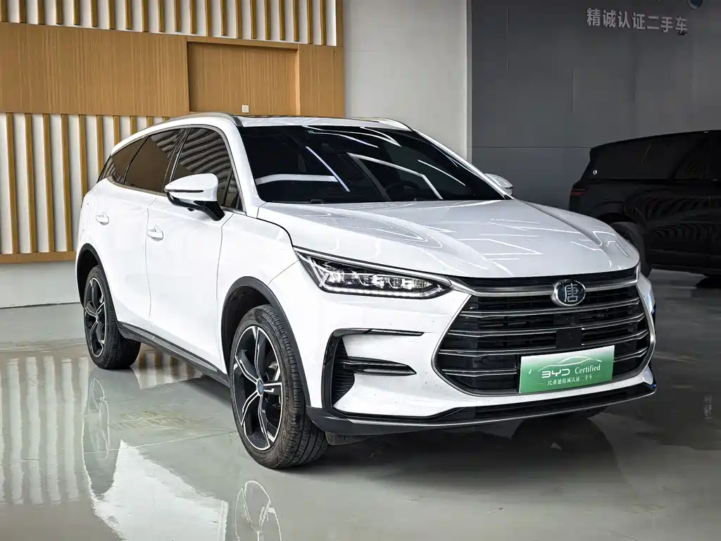 BYD Tang New Energy 2022 — фото 3