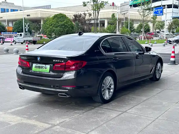 BMW 5 Series New Energy 2019