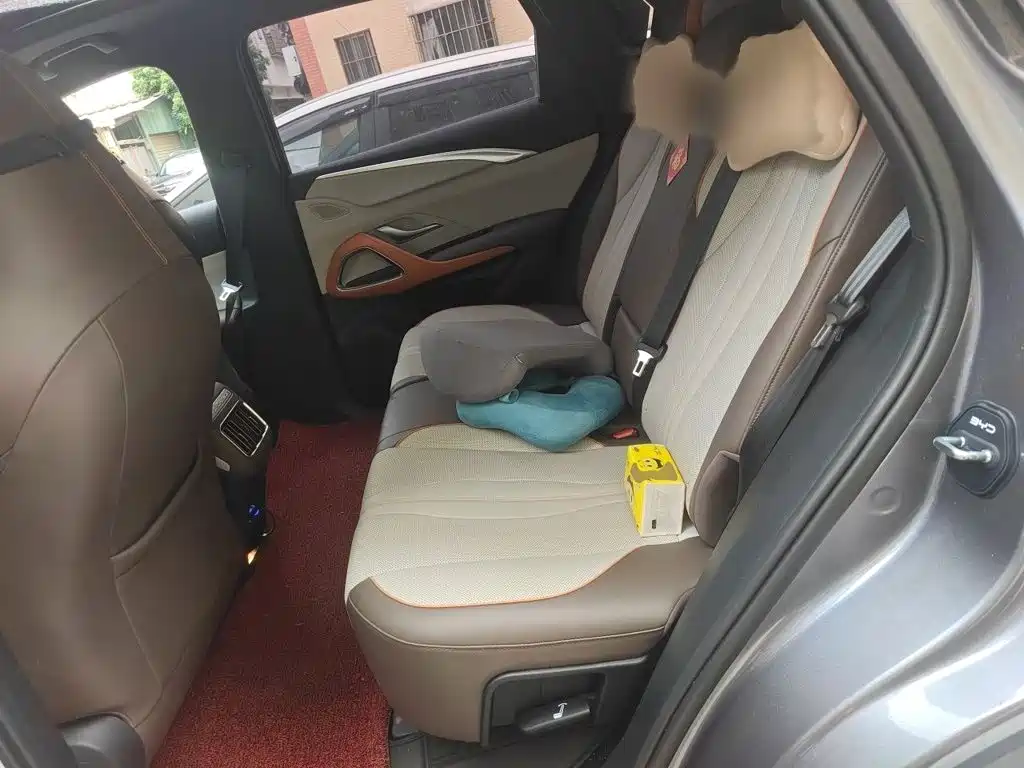 BYD Pro New Energy 2023 — фото 15