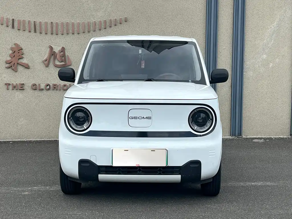 Geely Galaxy Panda 2024