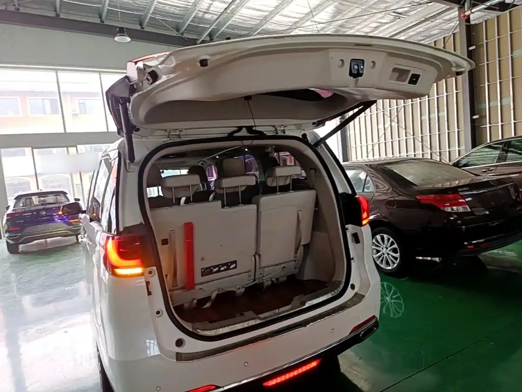 GAC Motor Trumpchi M8 2018 — фото 19