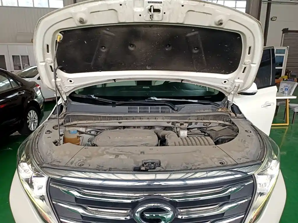 GAC Motor Trumpchi M8 2018 — фото 20