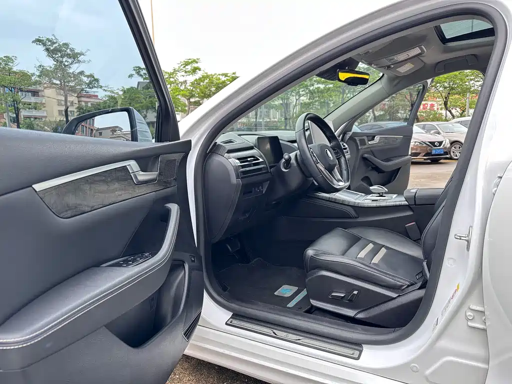 BYD Qin Pro NEV 2018 — фото 11