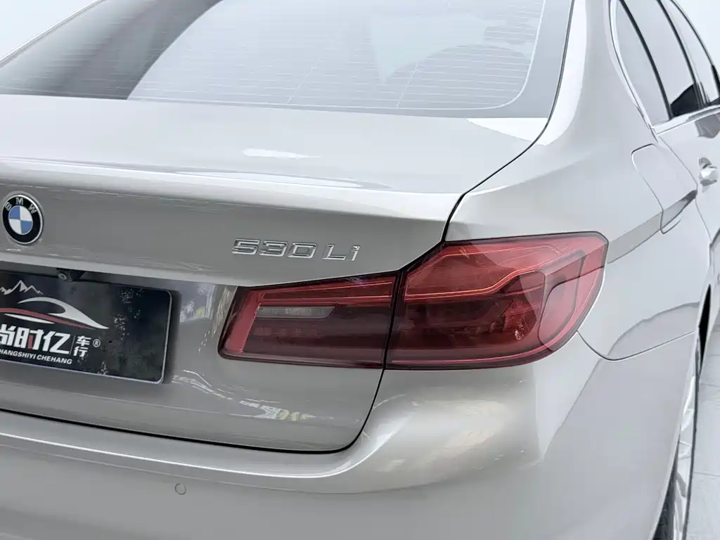 BMW 5 Series 2019 — фото 14