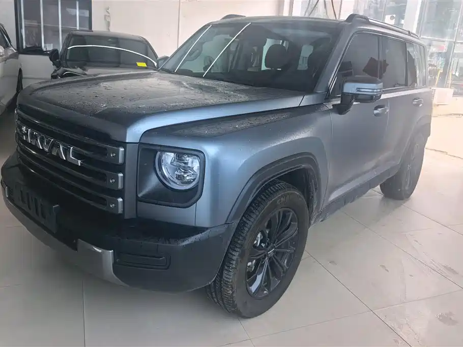 Haval Menglong New Energy 2024