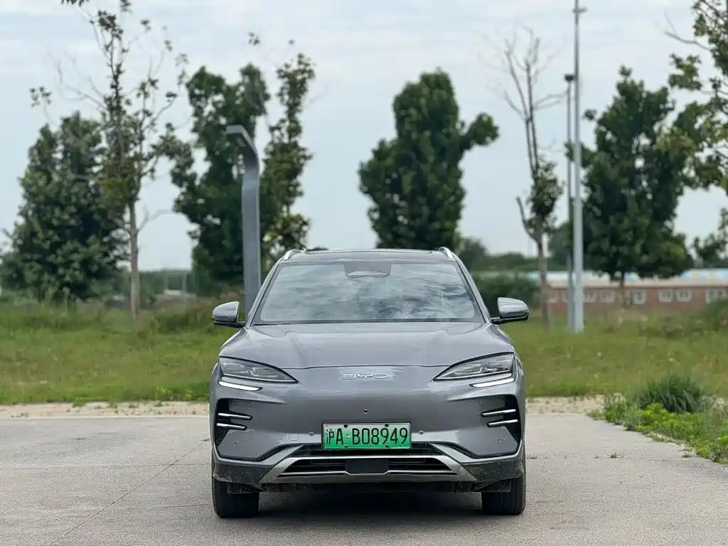 BYD PLUS New Energy 2025 — фото 2