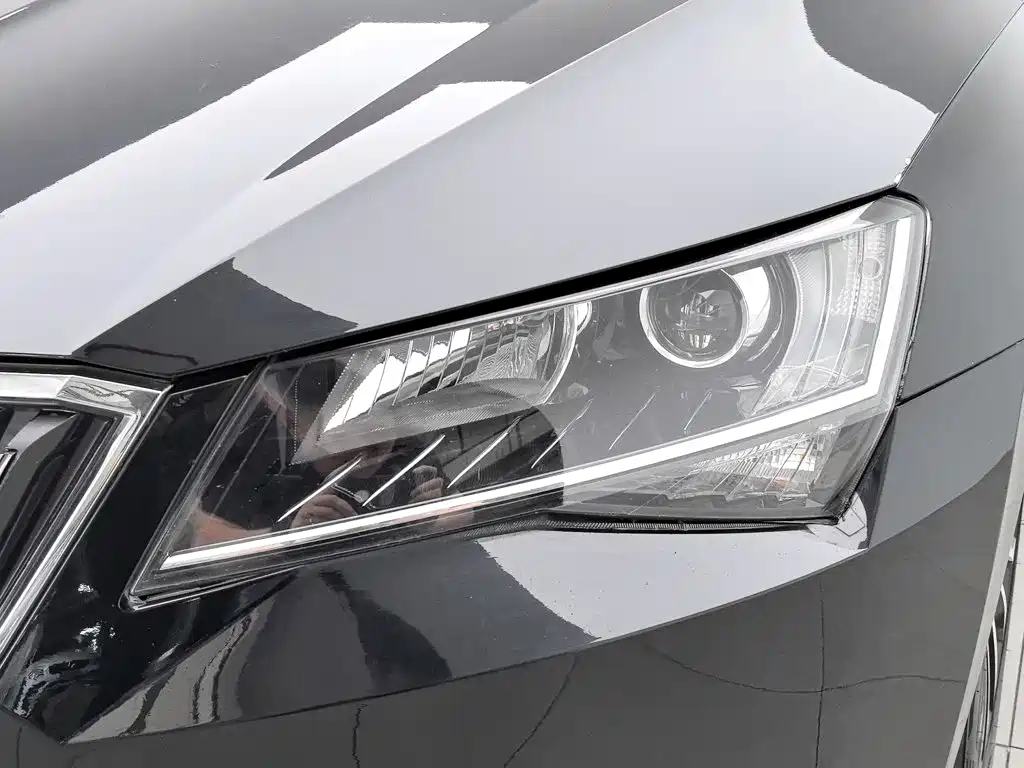 Skoda Speedy 2019