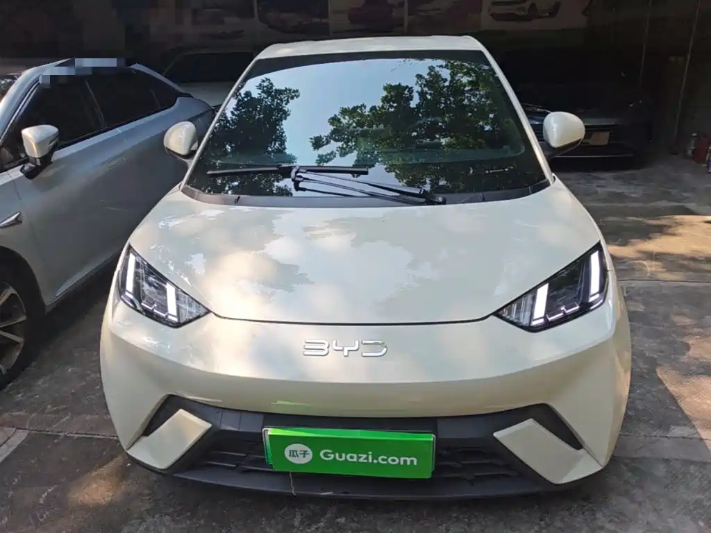 BYD Seagull 2024