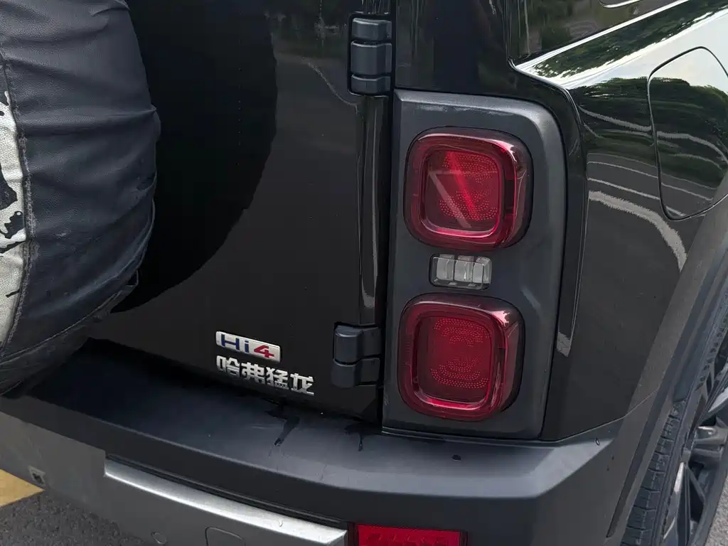 Haval Menglong New Energy 2023