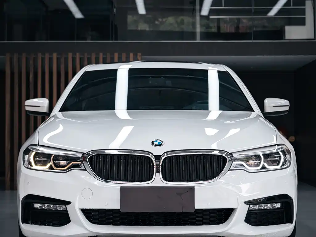 BMW 5 Series 2018 — фото 2