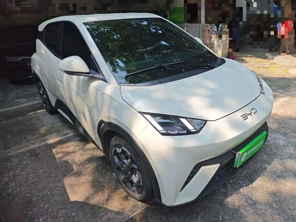 BYD Seagull 2024