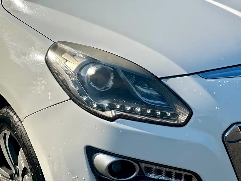 Luxgen Big 7 SUV 2017 — фото 10