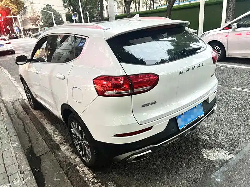 Haval H6 2019 — фото 11