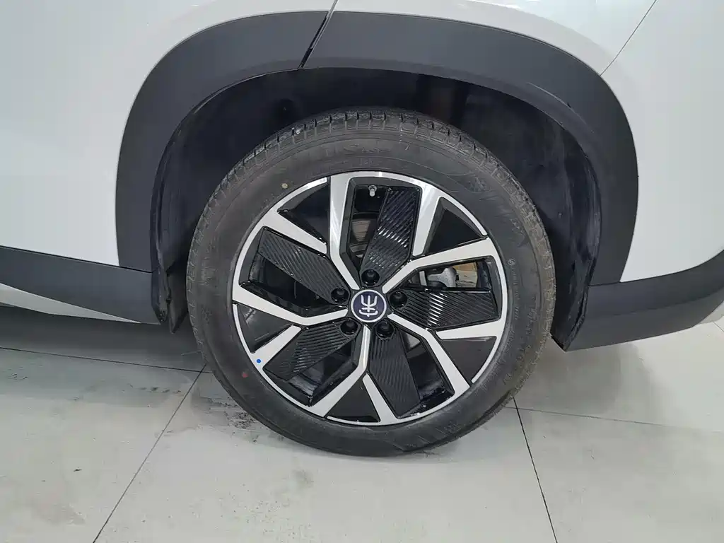 BYD L DM-i 2024 — фото 16