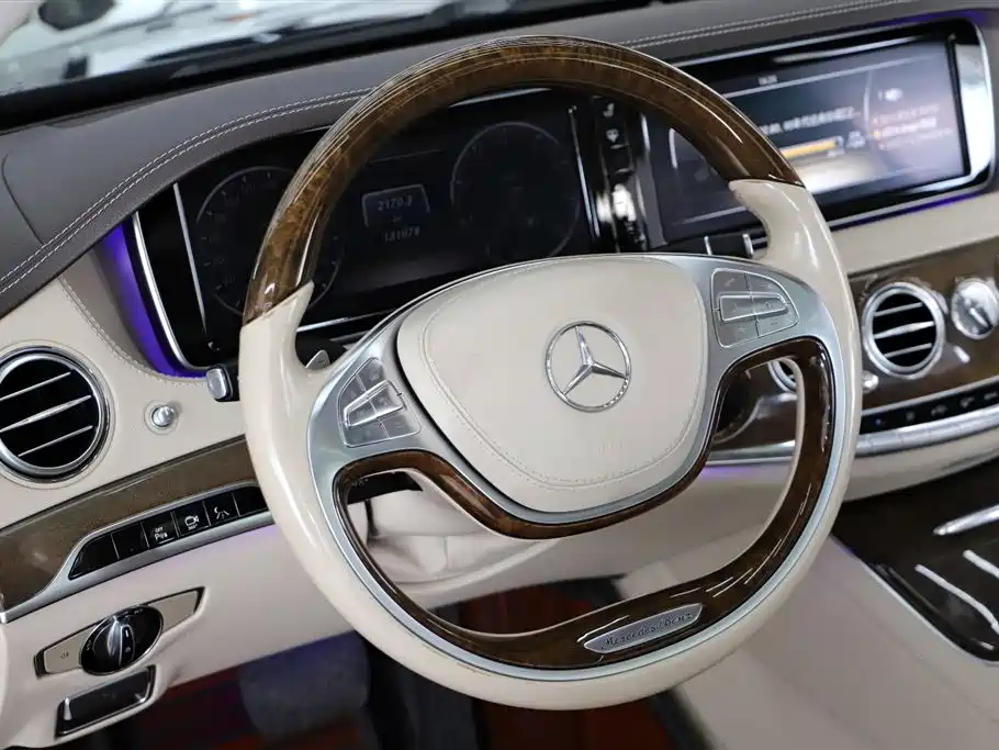 Mercedes-Benz S-Class 2014 — фото 13