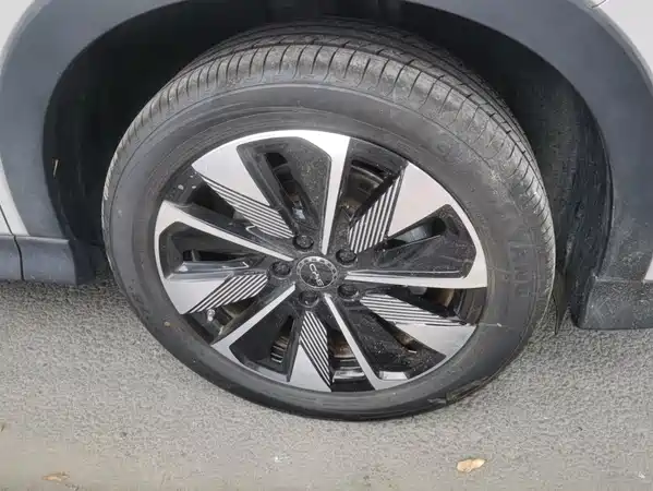 BYD Song PLUS New Energy 2025