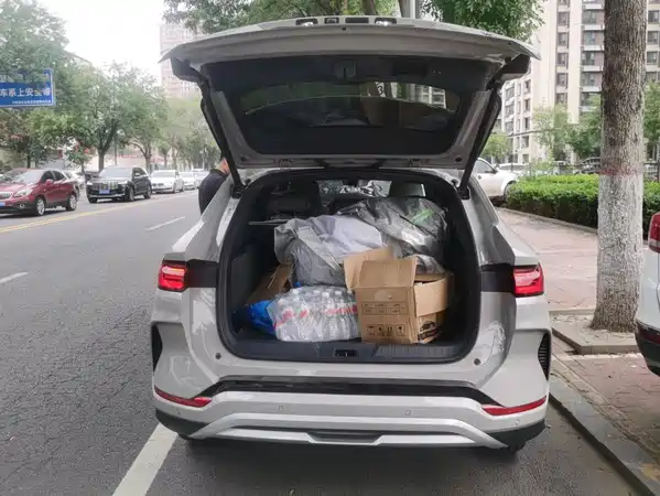 BYD Song PLUS New Energy 2025