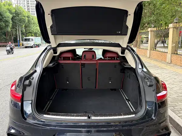 BMW X4 2021
