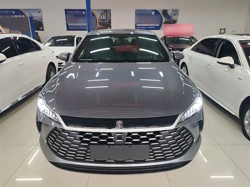 BYD Qin PLUS 2025 — фото 3