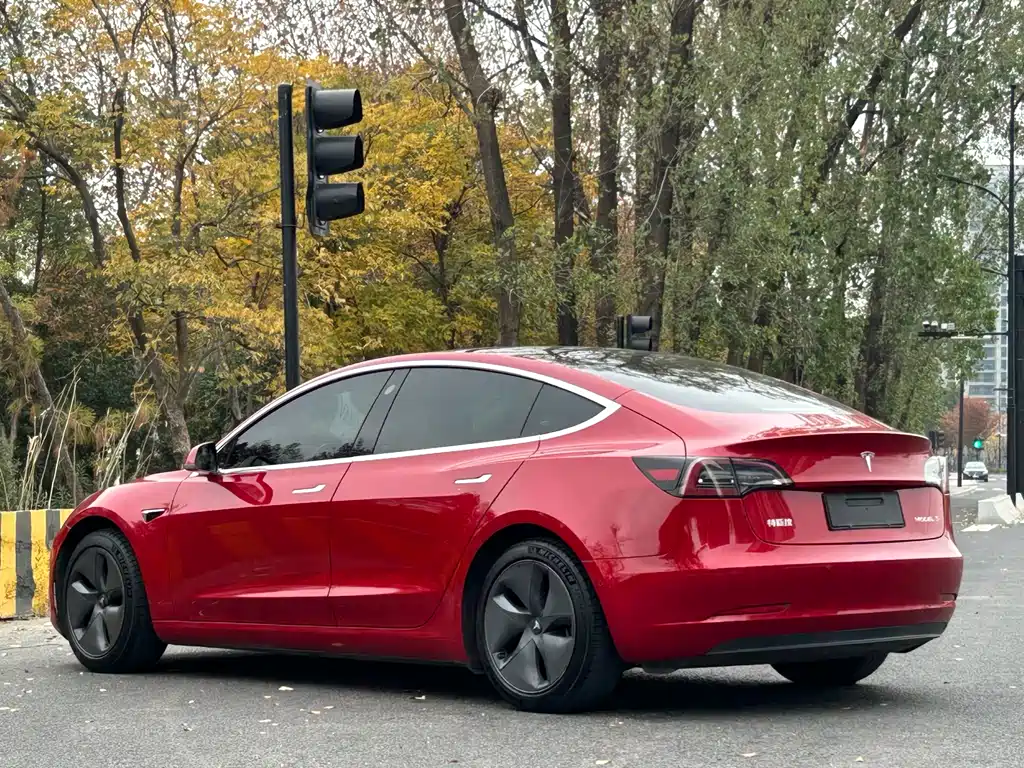 Tesla Model 3 2020 — фото 5