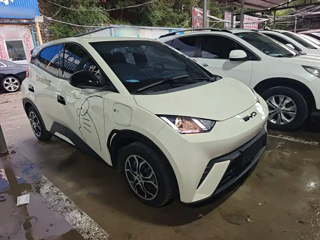 BYD Seagull 2024