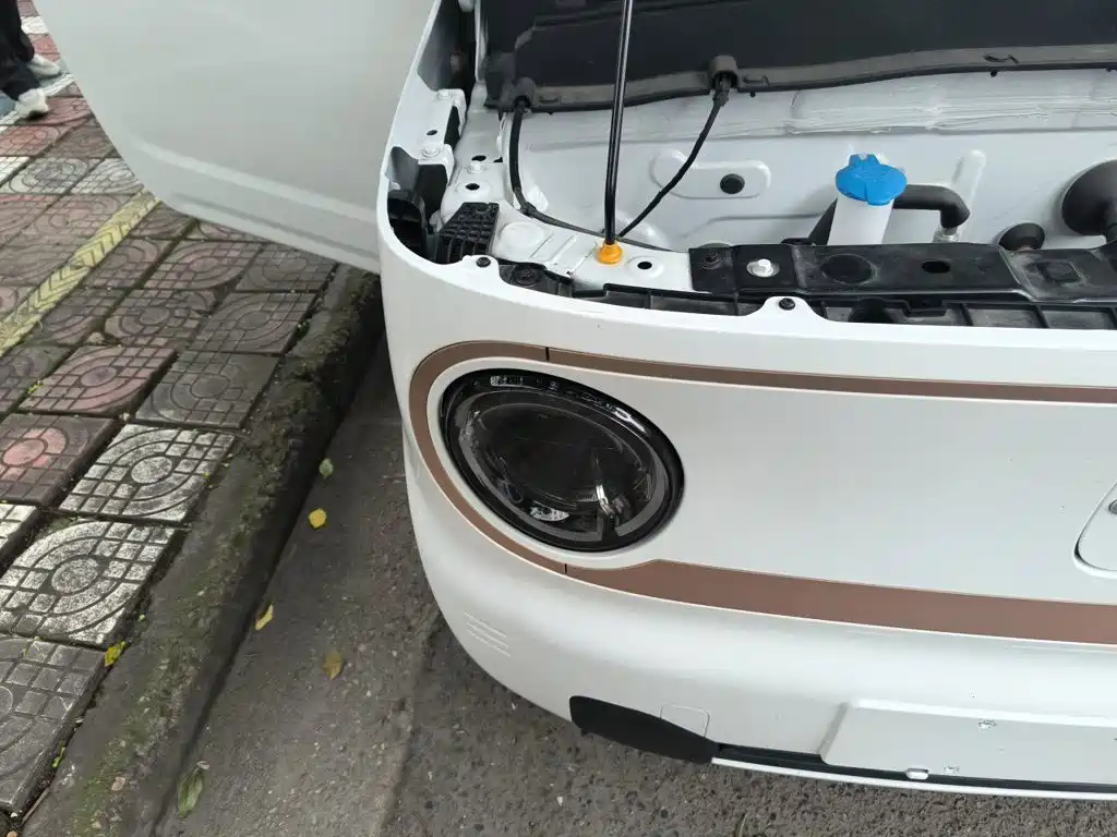 Geely Galaxy Panda 2025