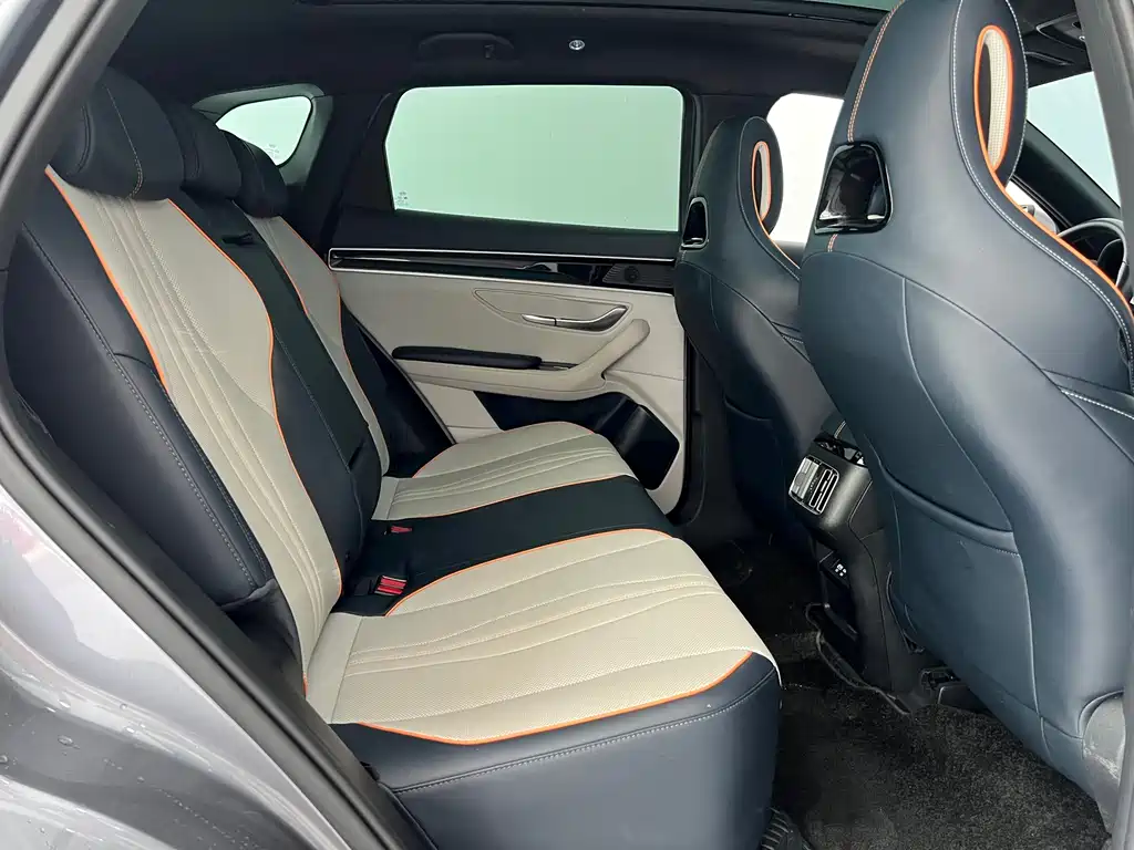 BYD PLUS New Energy 2023 — фото 12