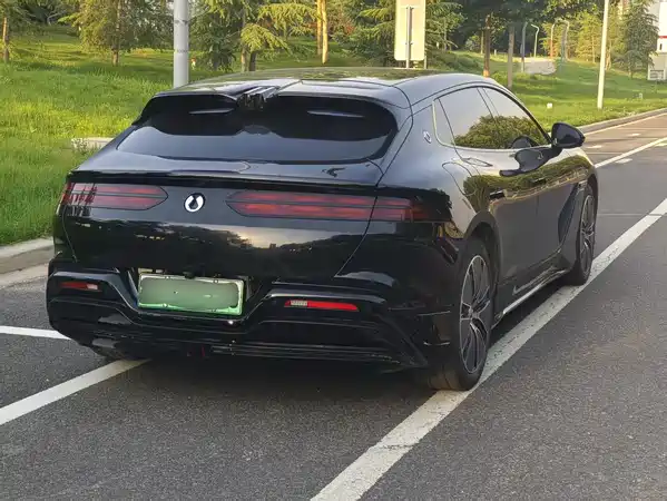 Denza Z9GT 2024